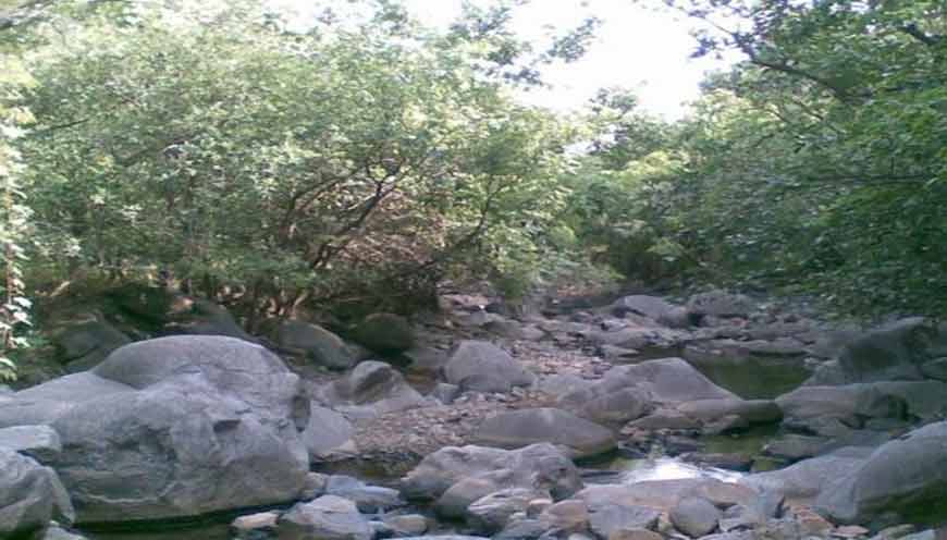 Sarkhadiya-Hanuman-Temple-Junagadh